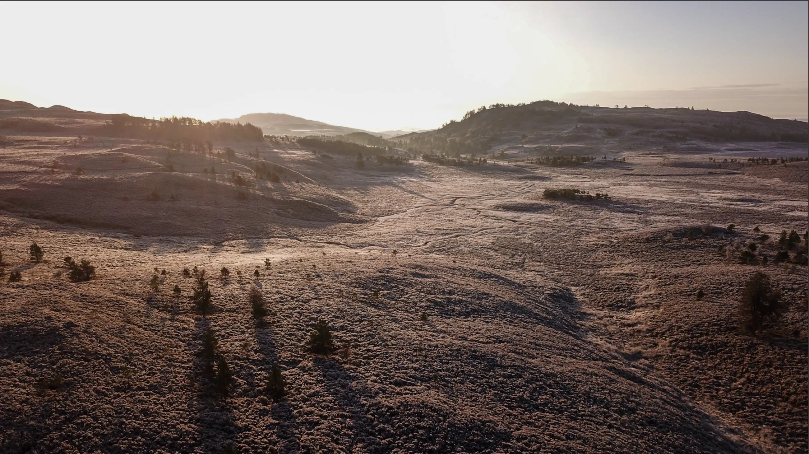 A quiet winter landscape