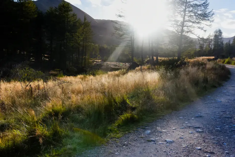 A quiet landscape photograph