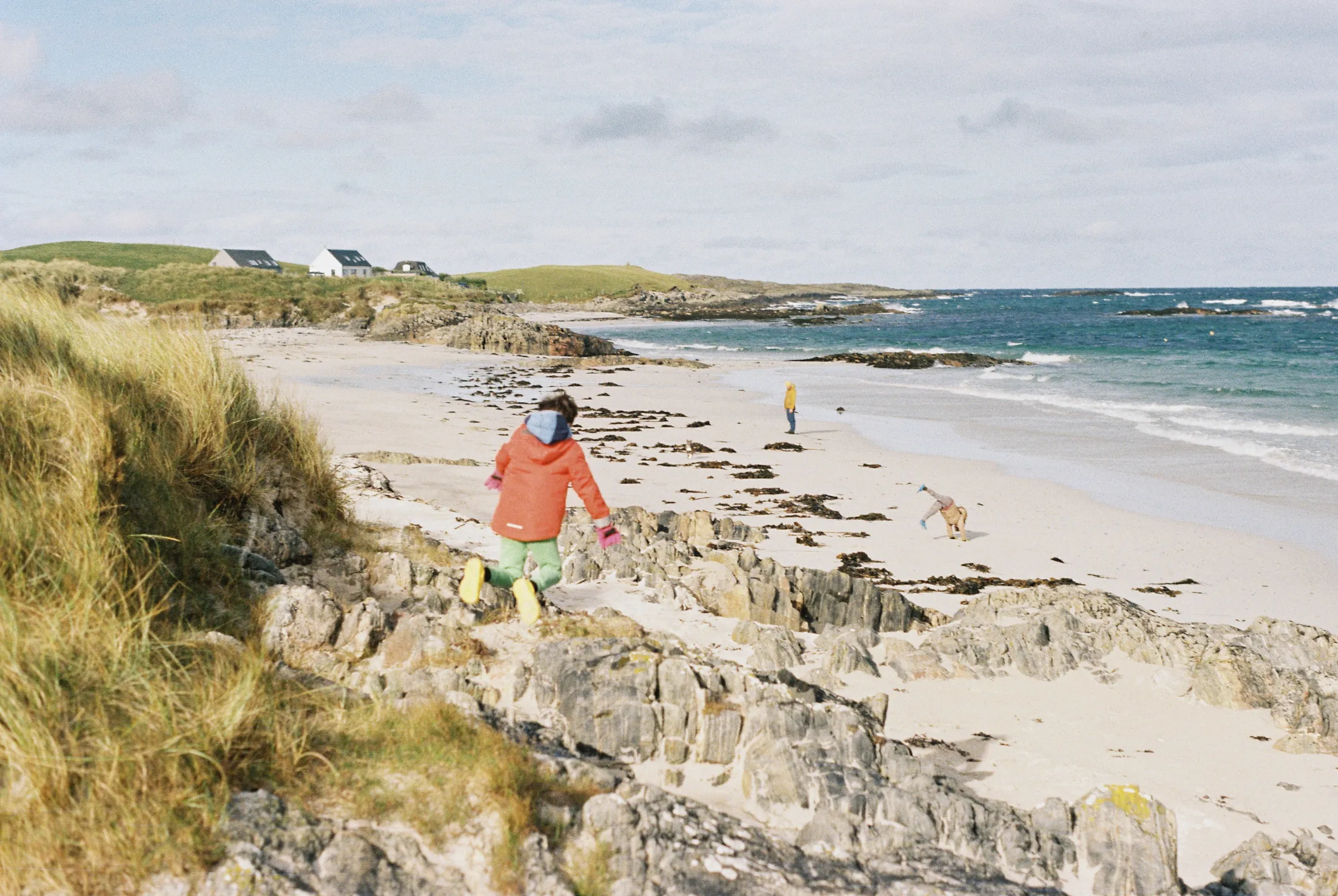 A windswept family photograph